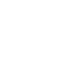 Sensor (Optional)